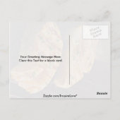 Delicious Salmon steaks op grill Briefkaart (Achterkant)