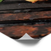 Deliciuos bbq poster (Hoek)