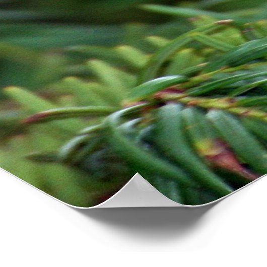 Delight van natuur poster (Hoek)