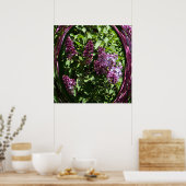 Delighted Lilacs..... Poster (Keuken)