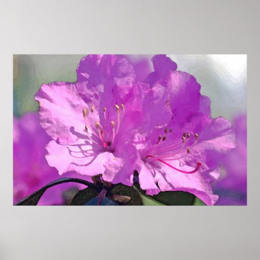 Delightful Lavender Poster (Voorkant)