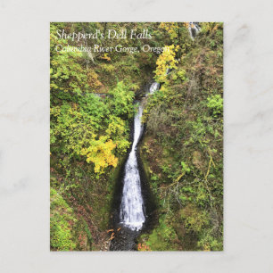 Dell-Herfsten van Shepperd, Columbia River Gorge,  Briefkaart