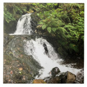 Dell-Herfsten van Shepperd, OF Tegeltje (Voorkant)