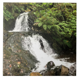 Dell-Herfsten van Shepperd, OF Tegeltje