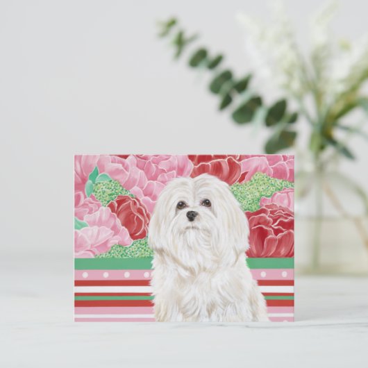 Della Roos Maltese Briefkaart (Staand voorkant)