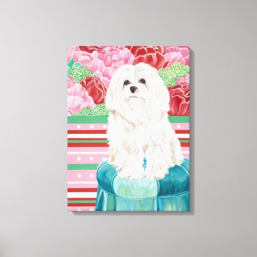 Della Roos Maltese Canvas Afdruk (Voorkant)