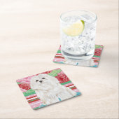 Della Roos Maltese Kartonnen Onderzetters (Insitu)