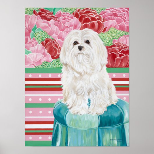 Della Roos Maltese Poster (Voorkant)