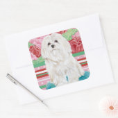 Della Roos Maltese Vierkante Sticker (Envelop)