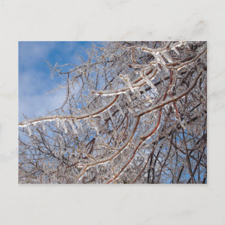 Delmar Loop in december Briefkaart