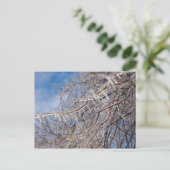 Delmar Loop in december Briefkaart (Staand voorkant)