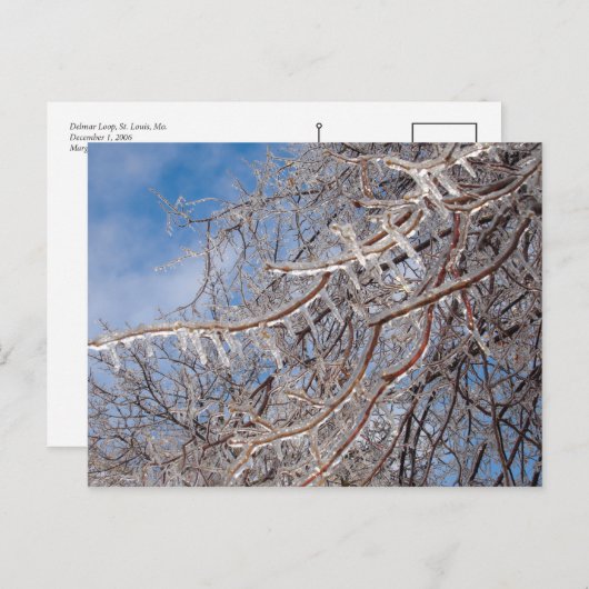 Delmar Loop in december Briefkaart (Voorkant / Achterkant)