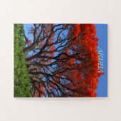 Delonix regia boom legpuzzel (Horizontaal)
