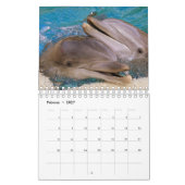 Delphin Kalender (Feb 2027)