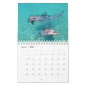 Delphin Kalender (Jan 2026)