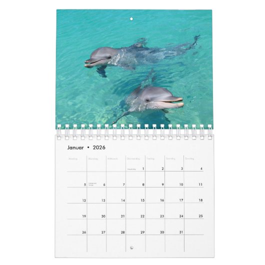 Delphin Kalender (Jan 2026)