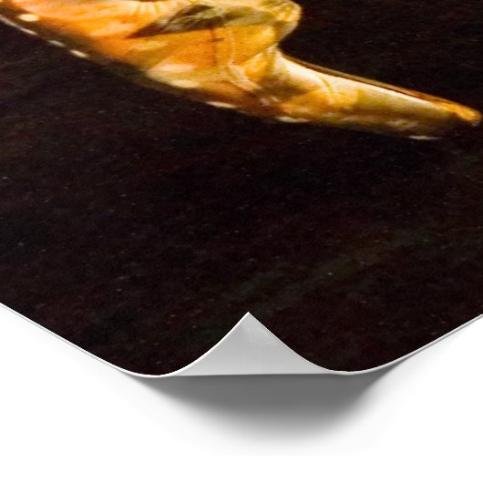 Delphine-4653 Poster (Hoek)