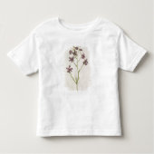Delphinium ajacis, c.1568 kinder shirts (Voorkant)