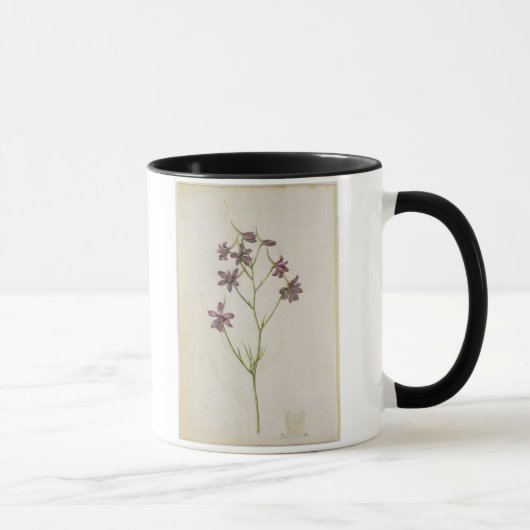 Delphinium ajacis, c.1568 mok (Rechts)