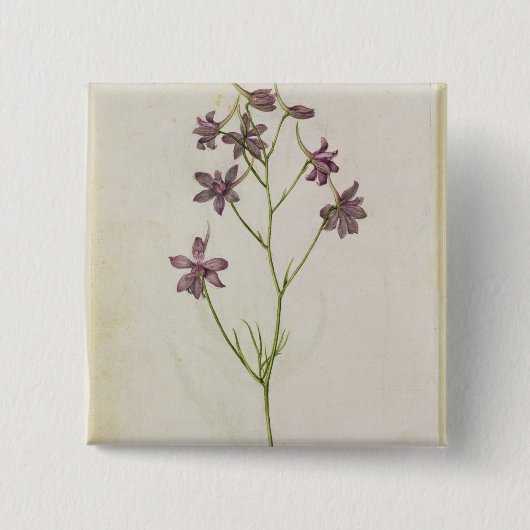 Delphinium ajacis, c.1568 vierkante button 5,1 cm (Voorkant)
