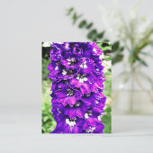 Delphinium Briefkaart (Staand voorkant)