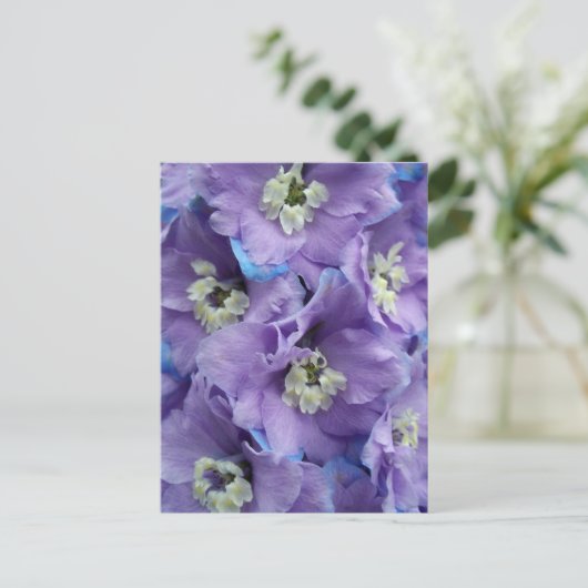 Delphinium Morning Light Briefkaart (Staand voorkant)