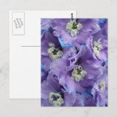 Delphinium Morning Light Briefkaart (Voorkant / Achterkant)