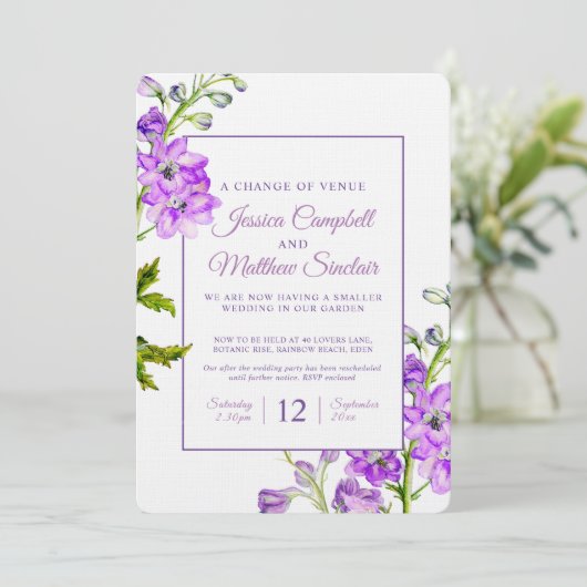 Delphinium paarse bloemen verandering van locatie  kaart (Staand voorkant)