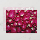 Delphiniumbloemen Briefkaart (Voorkant / Achterkant)