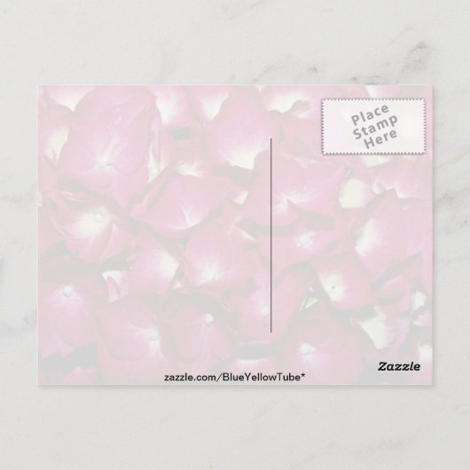 Delphiniumbloemen Briefkaart (Achterkant)