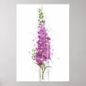 Delphiniums Poster (Voorkant)