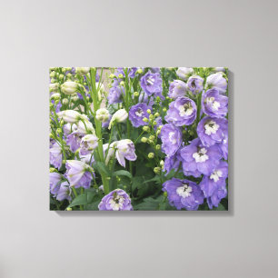 Delphinum Bloemen Verpakt Canvas Afdruk