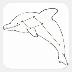 Delphinus Airways Sticker