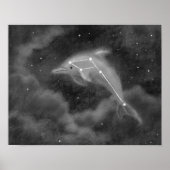 Delphinus Constellation Dolphin Poster (Voorkant)