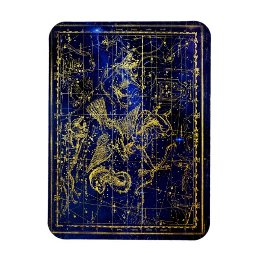 delphinus constellation magnet magneet (Verticaal)