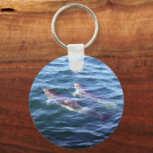 Delphinus delphis sleutelhanger (Voorkant)