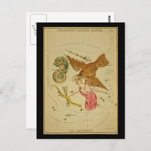 Delphinus, Sagitta, Aquila en Antinous Briefkaart (Voorkant / Achterkant)