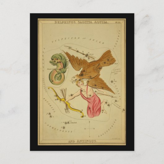 Delphinus, Sagitta, Aquila en Antinous Briefkaart (Voorkant)