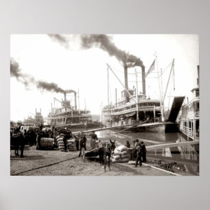 Delta Queen rivierboot wordt geladen New Orleans  Poster