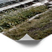 Delta Queen Steamboot Mississippi River Art Poster (Hoek)