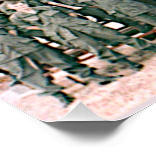 DELTA-RAIDERS PERFECT POSTER (Hoek)