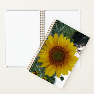 Deluxe spiraalnotitieboek 5.5x8.5 met zonnebloemku notitieboek