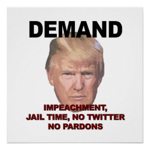 Demand Impeachment, Jail, Geen Twitter, geen Pardo Poster