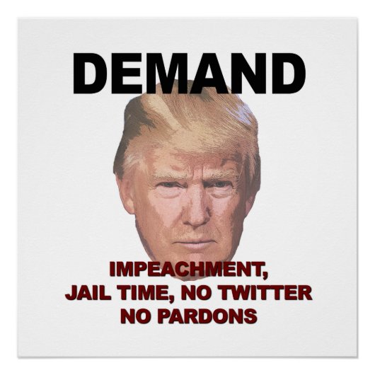 Demand Impeachment, Jail, Geen Twitter, geen Pardo Poster (Voorkant)