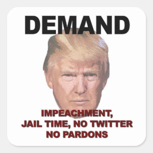 Demand Impeachment, Jail, Geen Twitter, geen Pardo Vierkante Sticker
