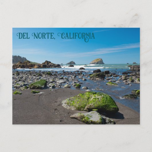 DeMartin Beach Del Norte Californië Briefkaart (Voorkant)