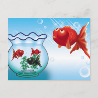 Demekin-Telescope Goldfish- Briefkaart