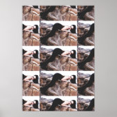 Demi Lowe in Colorado Poster 2 (Voorkant)