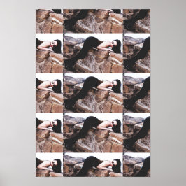 Demi Lowe in Colorado Poster 2