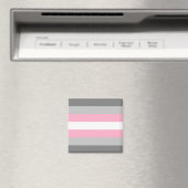 Demigirl Flag (Demi Girl Pride) (genderidentiteit) Magneet (Insitu (Vaatwasser))